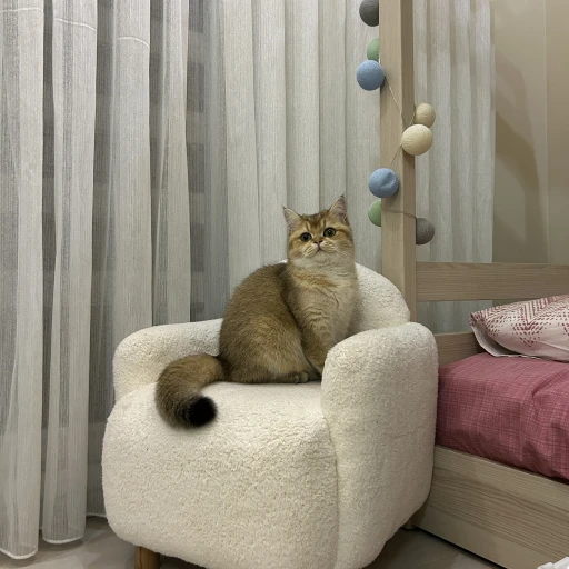  secerelibrithisbihter