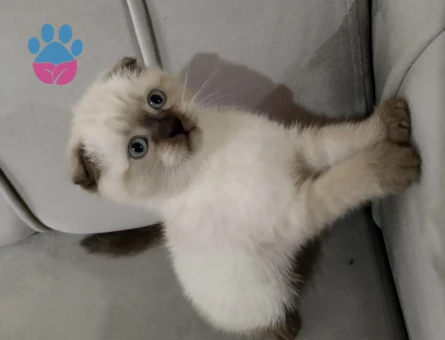 Yavrumuz hala duruyor😇