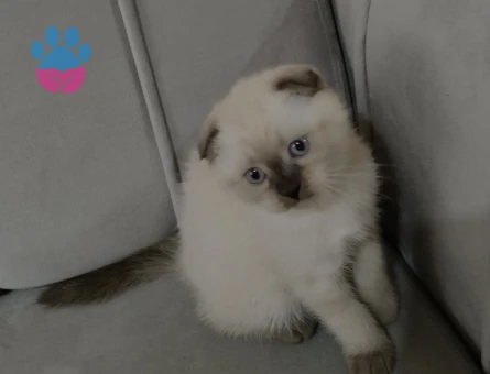 Yavrumuz hala duruyor😇