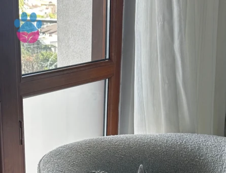 British Shorthair 1 Yaşında Eş Arıyor - 118984396