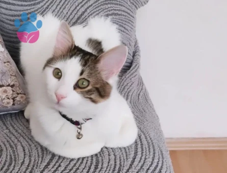 1 Yaşında Kızıma Yuva Arıyorum