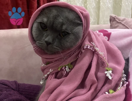 PELUŞ TÜYLÜ KİKO YENİ AİLE ARIYOR