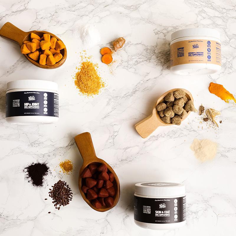 Yaşlı Köpek Bakımı: Yaşlı Bir Köpeğe Karşı Sorumluluklarınız