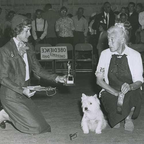 Köpeklerin Sahipleriyle Uyuması Doğru Mu?