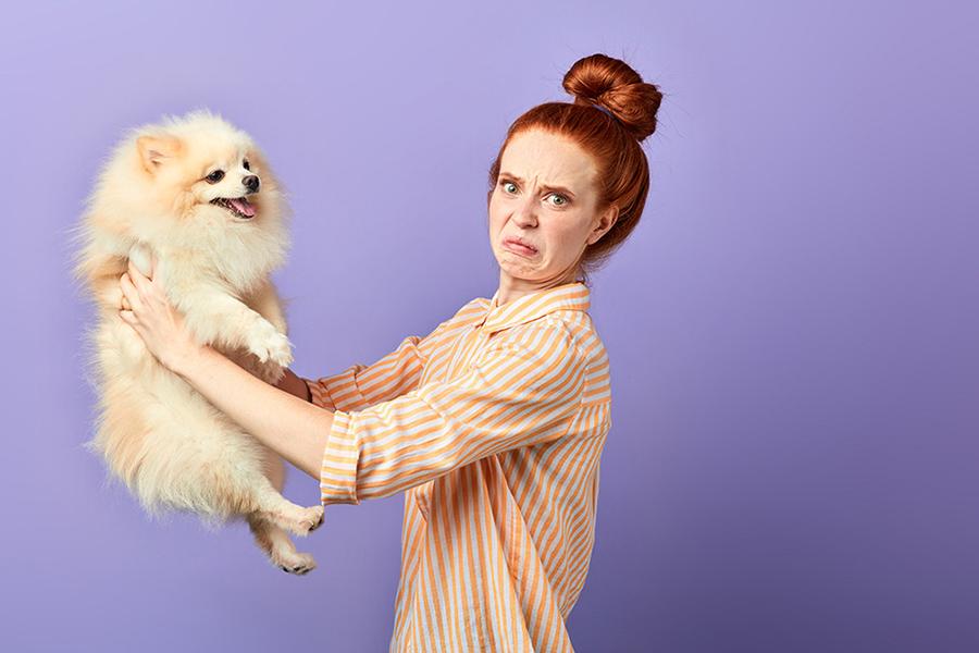 Köpek Kokusunu Önleme Yolları: Köpeğim Eve Koku Bırakıyor Köpek Kokusunu Önleme Yolları: Köpeğim Eve Koku Bırakıyor