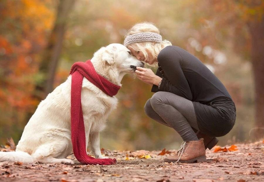 Köpekler Sahibini Sevdiğini Nasıl Belli Eder?