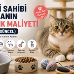 Kedi Sahibi Olmanın Aylık Maliyeti 2026 Güncel Reh...