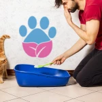 Kedilerde İdrar Kokusu Nasıl Giderilir?