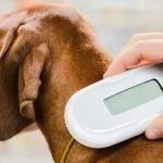 Evcil Hayvanlara Mikroçip Nasıl Takılır? Mikroçip Faydaları