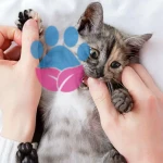 Kediler Neden Isırır? Kedimin Isırmaması İçin Ne Yapmalıyım?