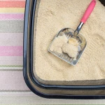 Kedi Tuvaleti Nasıl Temizlenmelidir?