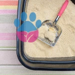 Kedi Tuvaleti Nasıl Temizlenmelidir?